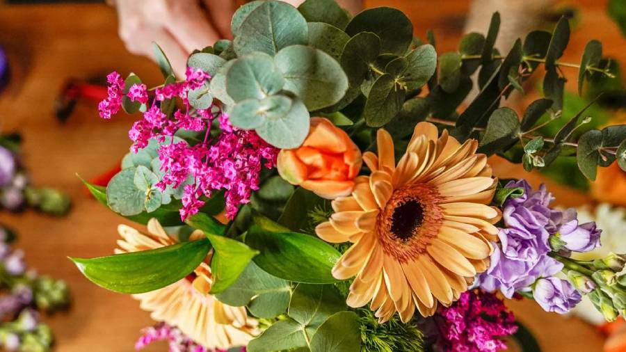 Kremp Florist Review: Pros, Cons & FAQs (2026 Guide)