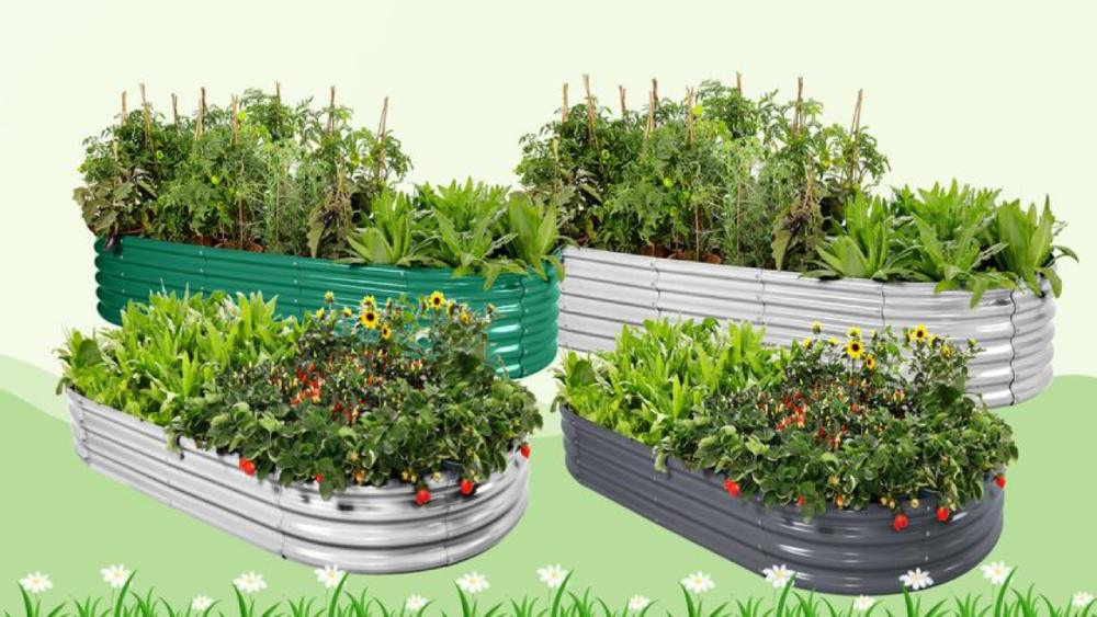 Land Guard Review : Smart, Sustainable Solutions for Outdoor Protection